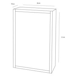 Differnz Spiegelkast Look 51x38x18 RVS