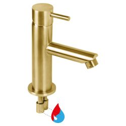Differnz koud/warmwater kraan recht - mat goud